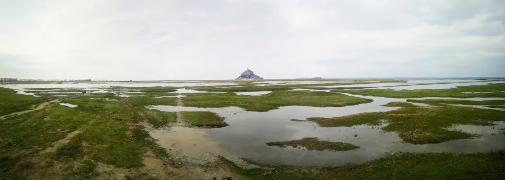Sentier dans les prés-salés menant vers le Mont-Saint-Michel