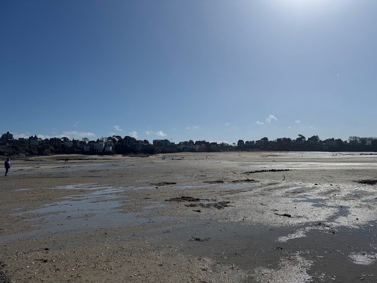 Le paysage à marée basse