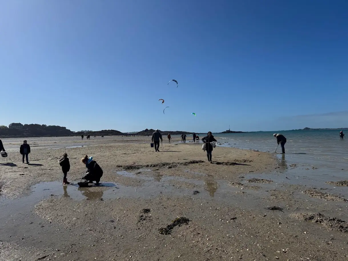 Pêche à pied autour de Saint-Malo : quoi pêcher et comment faire ?
